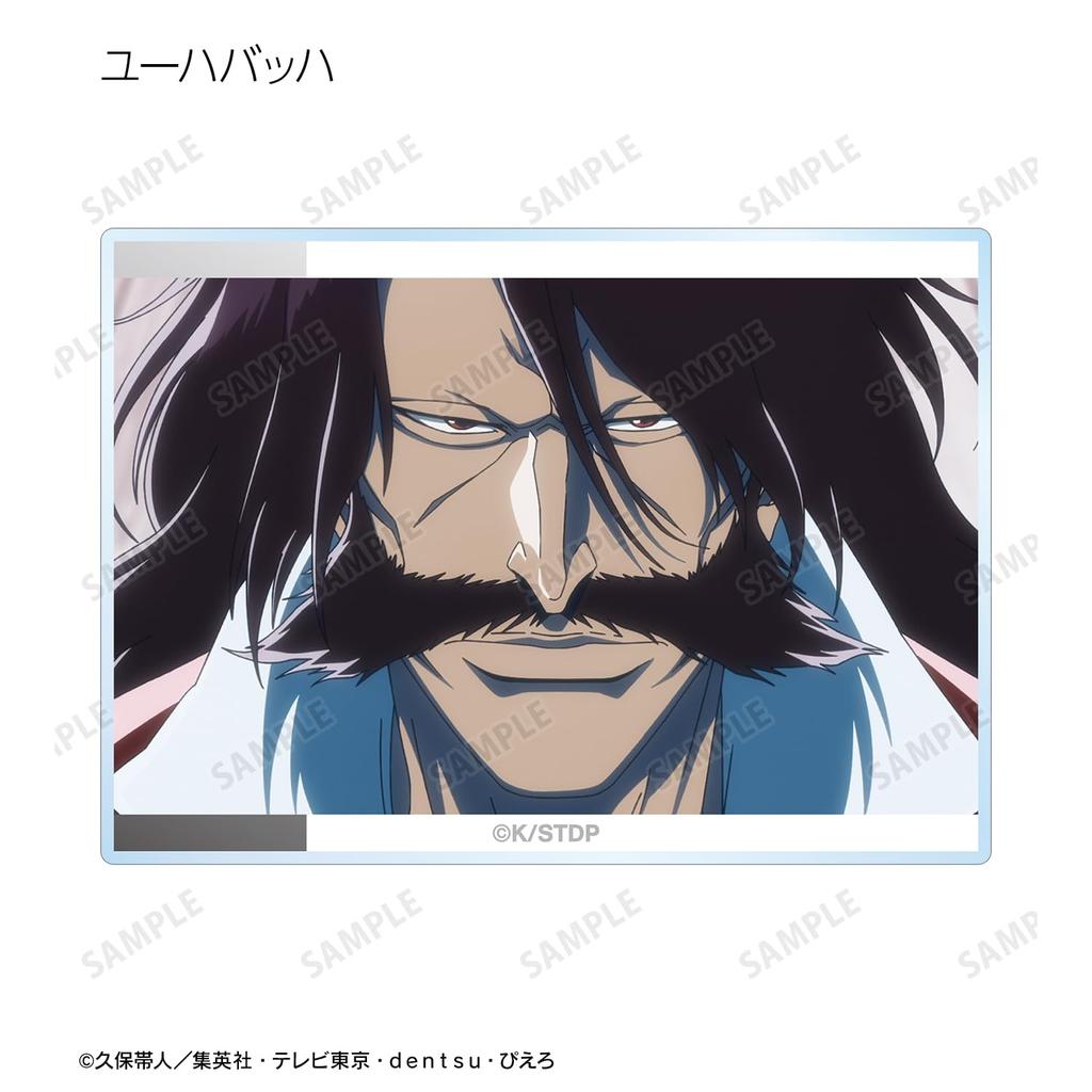 TV Anime Blood War Trading Scene Acrylic Cards Box "BLEACH Thousand-Year Arc" ver.B 10-Pack