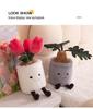 Polaris Green Plush Plant Doll - Colorful Taro Monstera Leaf Desktop Ornament