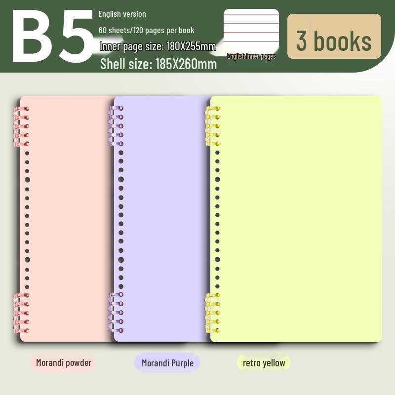 B5 Thick Loose-Leaf English Notebook for Elementary School - High-Value, Handwritten Practice Book