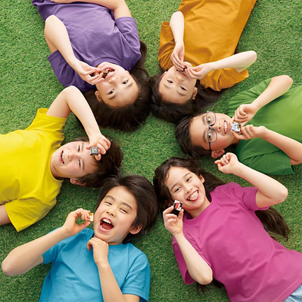 Tyrol Tyrol Chocolate Variety Set 420 pieces in total Registration pieces [Trademark No. 6662120] (420 set)