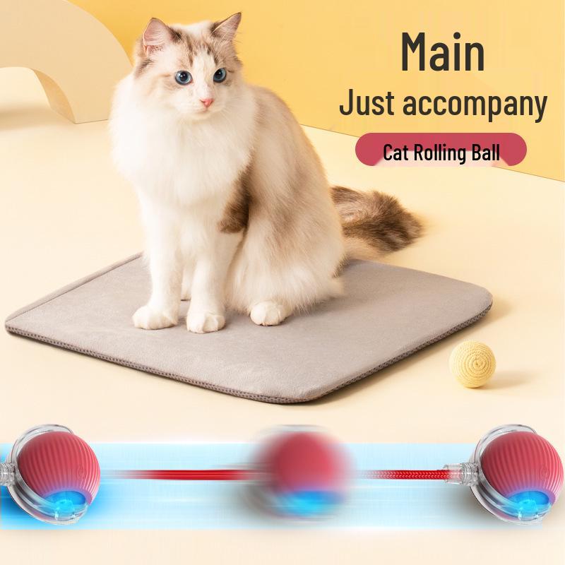 Interactive Bouncy Rope Ball Cat Toy: Bite-Resistant, Self-Amusement, and Boredom Relief Teaser