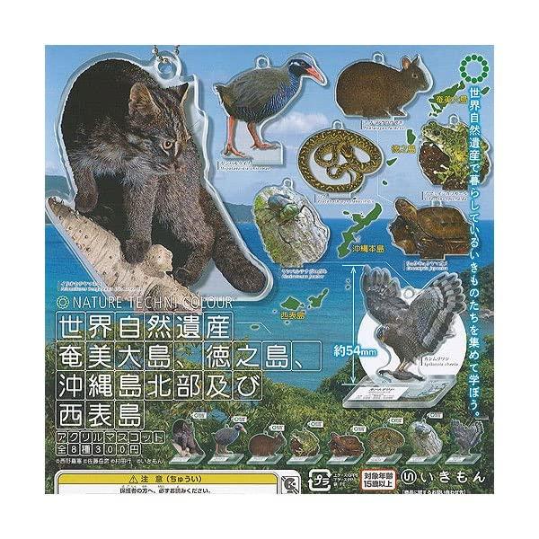

Nature Technicolor World Natural Heritage Amami Northern Okinawa and Iriomote Island Acrylic Mascot of 8 Gachapon Capsule Toy Oshima, Tokunoshima,