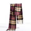 Plaid Long Scarf Winter Warm Cashmere Women Pashmina Foulard Bandana Scarves Female Luxury Hijab Tassel Shawl Wraps  New