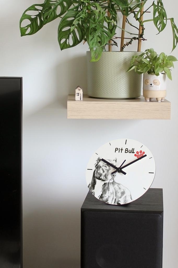 Pit Bull, American Pit Bull Terrier, Pitbull – Wall clock with a dog, shelf clock with a print | Art-Dog