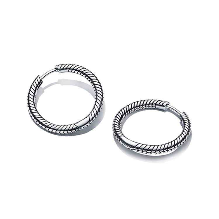 Pandora Moments Charm Earrings Women earrings Silver 299532C00 Silver,F