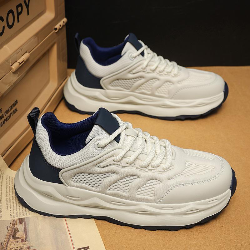 Xiaobai Summer Mesh Breathable Forrest Gump Dad Shoes Platform Sports Putian Niche Casual Shoes
