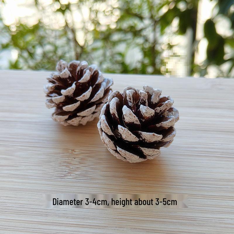 Natural Dried Fruit Wood Slices & Pine Acorn Christmas Decor Materials for Photography Backgrounds