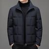Jaqueta de Penas Masculina Fashion com Gola Alta - Coleção Outono/Inverno 2025, Quente e Casual para Adultos de Meia-Idade e Jovens.