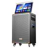 Portable KTV Karaoke Speaker System with Display CN Plug (adapter Included)