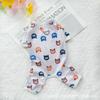 ins wind pet dog summer clothing thin four-legged clothing cool mesh breathable cat cool clothing going out