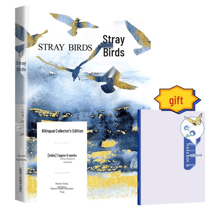 Diverse Book Collections & Reading Sets