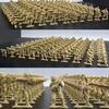 100Pcs Soldier Model Kit Play Sandtray Warrior Doll Fighting Scene Plastic Static Model Ornament Soldier People Military Model Children