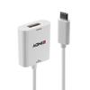 [LINDY] USB3.1 Type-C To DisplayPort Active Adapter (Model: 43245) White