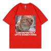 I Am Definitely Up To Something Funny Cat Meme Tshirt High Street Fashion Trend Women Casual Harajuku Short Sleeve Casual