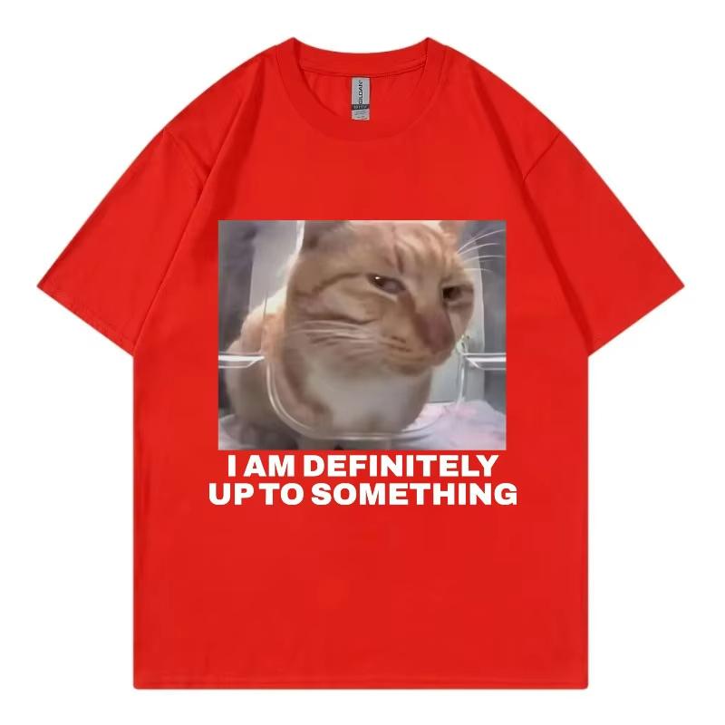 I Am Definitely Up To Something Funny Cat Meme Tshirt High Street Fashion Trend Women Casual Harajuku Short Sleeve Casual