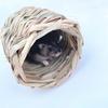 Hamster Nest Chew Toy Natural Grass Hand Woven Straw Nest Small Pet Hideout Tunnel Bed Cage Accessories