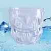 Bucket, Small Clear Acrylic Ice Container Chiller with Handle for Freezer Cocktail Bar Party