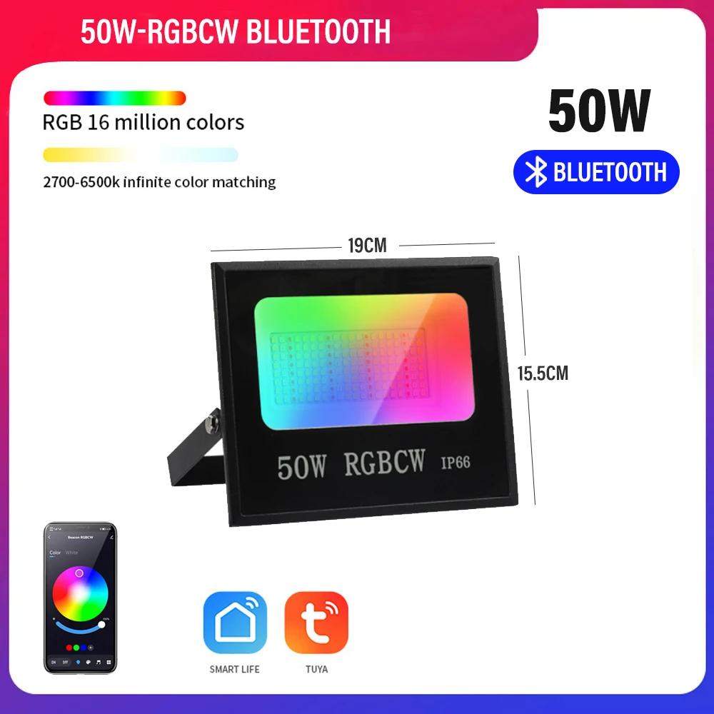 RGB LED Floodlight Reflector Outdoor Lighting 220V 30W 50W 100W Waterproof Spotlight Lamps Landscape Lighting Xmas Decoration