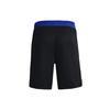 Under Armour Shorts Men's Royal Blue Unisex 1362002-400