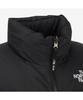 The North Face Nj1Dr95A Women'S 1996 Retro Nuptse Jacket Black