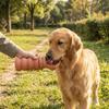 Leak-proof Dog Water Cup Silicone Cat Water Bottle Pet Water Feeder Pet Water Dispenser  Travel