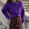 Vintage Knitted Pullovers Women Thicken Sweaters Autumn And Winter Sexy Short Tops Round Collar Solid Casual Loose Clothes 28464