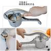 HCTOOL Hand Juicer, Lemon Squeezer, Low-Temperature Juicing, Manual Juicer, Home Juice Extractor, Commercial and Home Use (Silver)