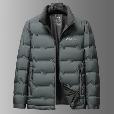 Middle-aged Men's Short Light and Thin Stand-up Collar Down Jacket