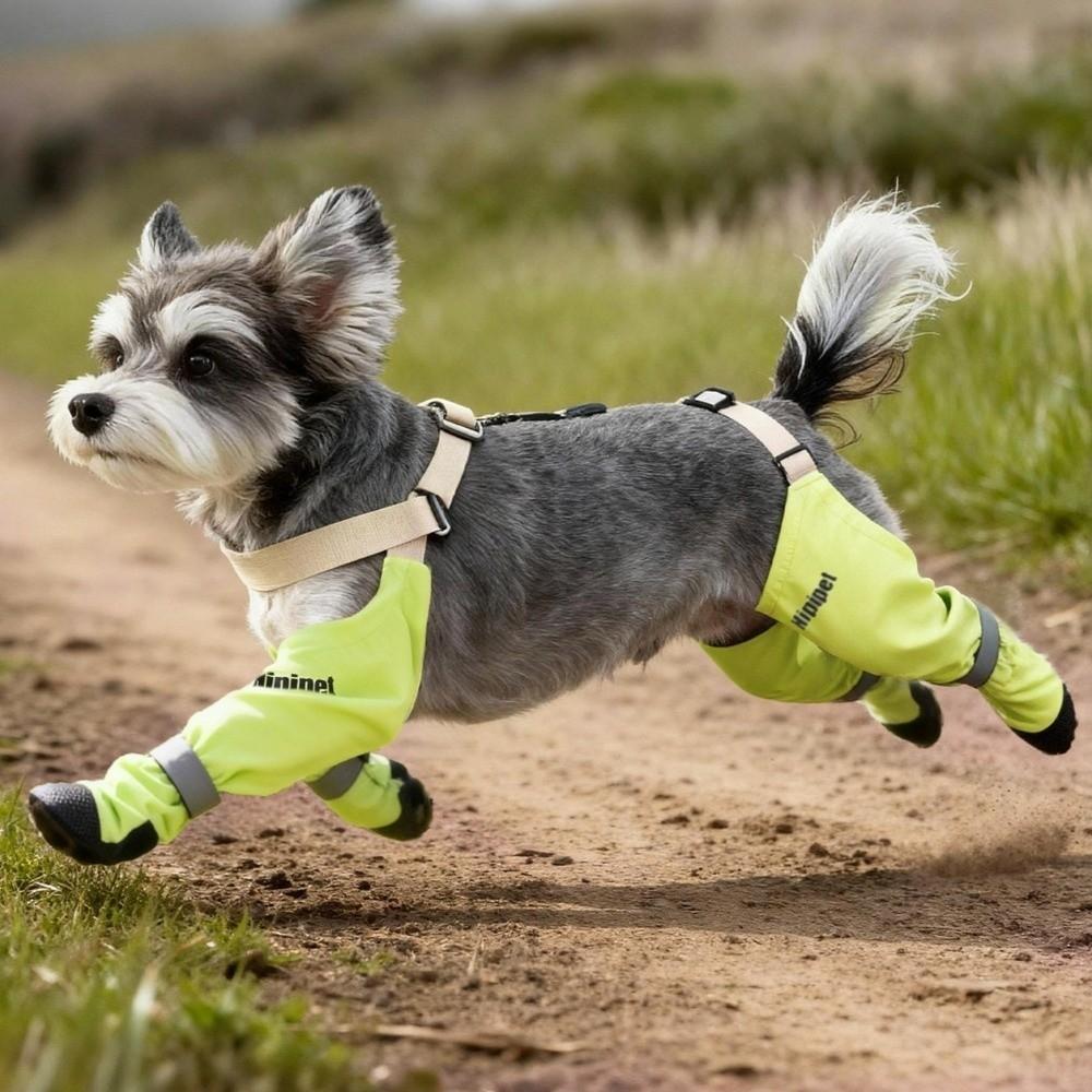 Anti-dirty Dog Foot Covers Waterproof Puppy Shoe Cover Suspenders Four-Legged Pants  Going Out