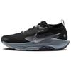 Nike Pegasus Trail 5 GORE-TEX Black Wolf Grey - FQ0908-001