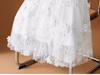 Women's Plus Size Ethnic Embroidered Floral Mesh A-Line Skirt