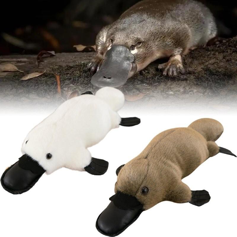 Platypus Plush Toy Dolls Room Decoration Ornaments Children Gifts Christmas