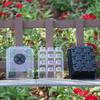 Seed Starter Tray Box Nursery Pot Seedling Germination Planter Adjustable Ventilation Humidity 12 Cell