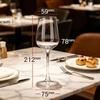 Yipan Premium Glass Wine & Champagne Glasses Set (Pack of 5)