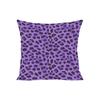 Fashion Leopard Print Pattern Throw Pillow Cover With Short Plush Print For Living Room Decoration Cushion Cover Pillow Covers