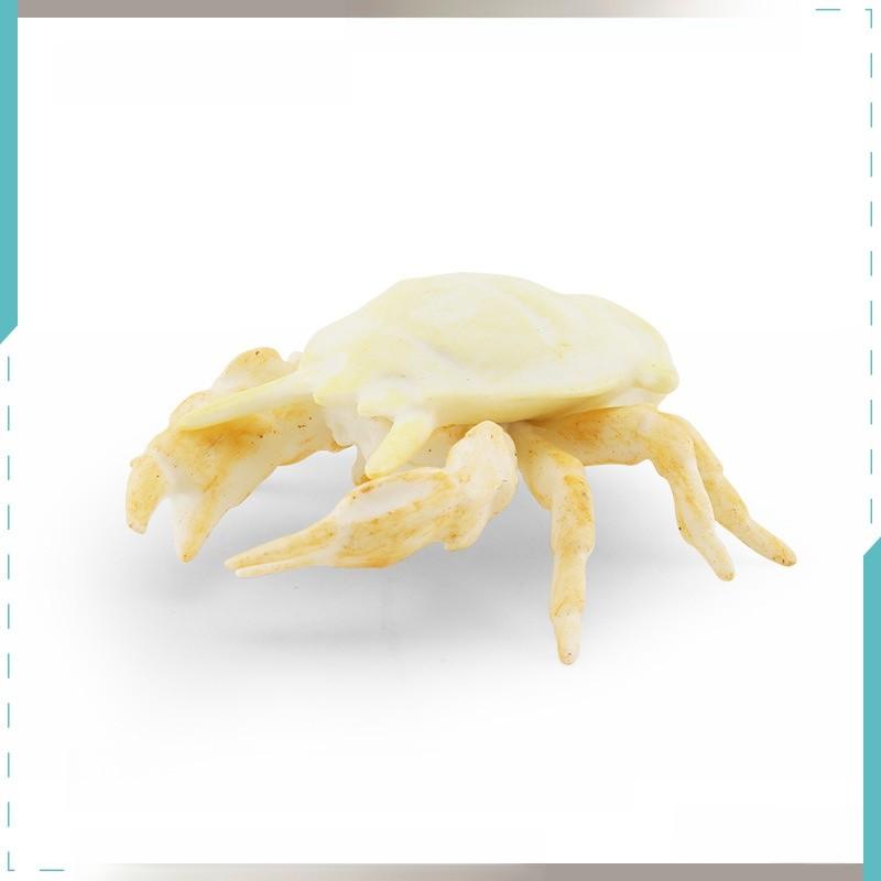 Underwater Animal Pvc Pipi Shrimp And Crab Sculptures Pack With Lifelike Marine Creatures For Aquarium Display