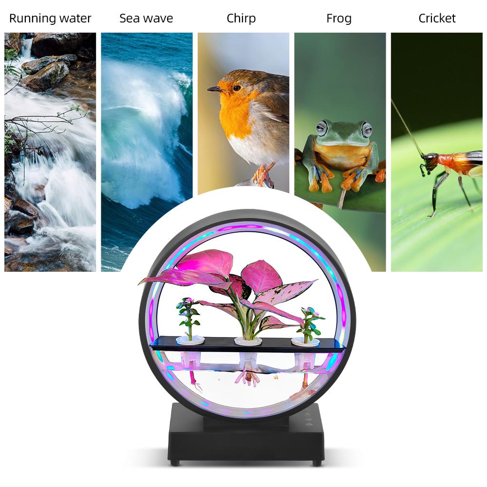 Water Feature Indoor with BT Speaker White Noise LED Ring Lights Tabletop Ornament Remote Control