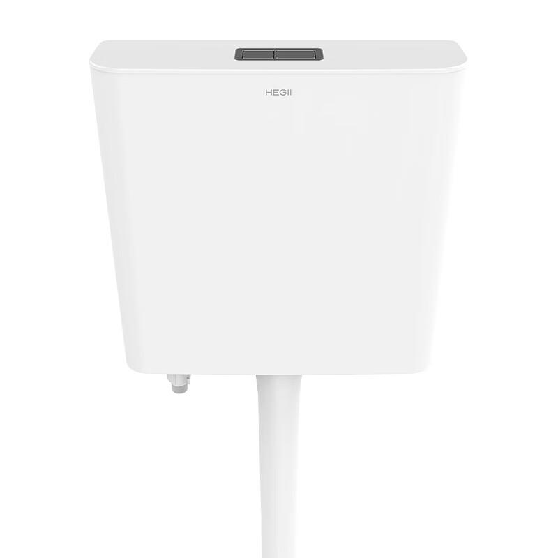 HEGII HC6032P Wall-Mounted Dual-Flush Cistern