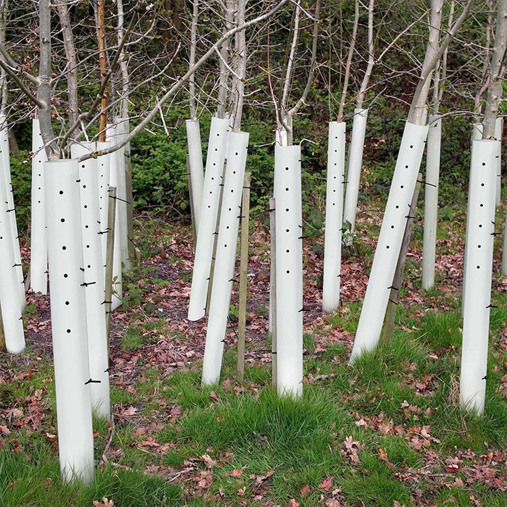 Multi-Purpose Tree Seedling Tube Sleeve, 36//60 Pack, Split Design for Plant Growth
