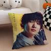 Japanese celebrity actor KKamiki Ryunosuke Cushion Cover Throw Pillow Cover Hidden Button Durable Polyester Chair Cushion
