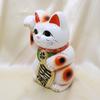 Tokoname 7 Inches 22 Right Family A Lucky Piggy Japanese-made Maneki-neko (beckoning Cat) Figurine, Ware, (approx. Cm), Paw, White. [For Safety]