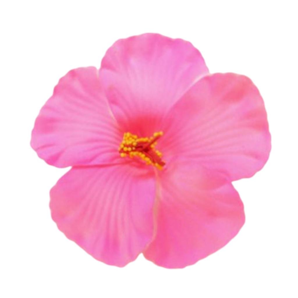 Siumlation Flower Hair Clip For Women And Girl Hibiscus Hair Barrette Hair Accessories For Vacation and Beach Parties