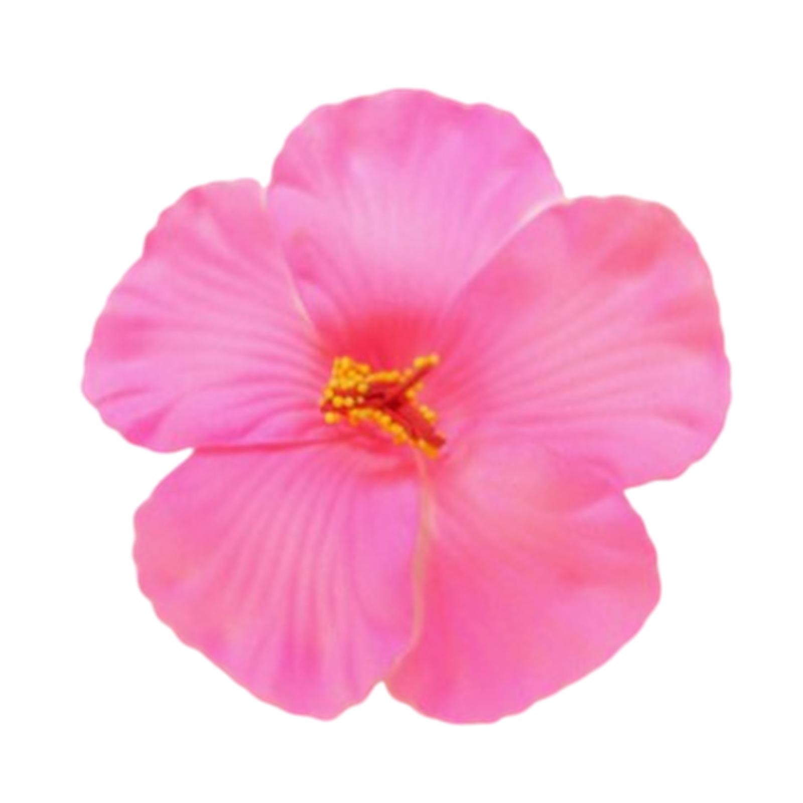 

Искусственный цветок заколка для волос для женщин и девочек гибискус заколка для волос аксессуары для волос для отпуска и пляжных вечеринок розовый