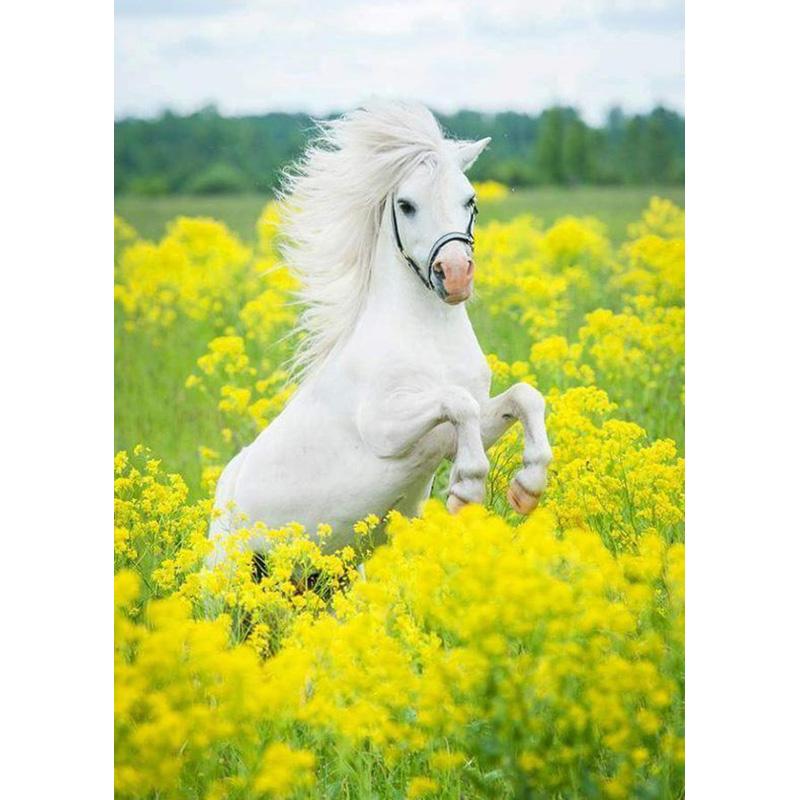 DIY Horse 5D Diamond Painting Full Round Drill Resin Animal Diamont Embroidery Cross Stitch Kits Home Decor Wall Art Gift