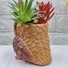 Cute Succulent Flowerpot Cartoon Animal Vase Creative Hydroponic Flower Holder  Balcony
