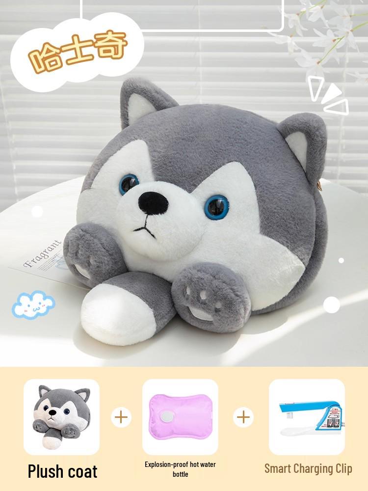 Electric Explosion-Proof Hot Water Bottle: Hand and Foot Warmer for Girls' Bed