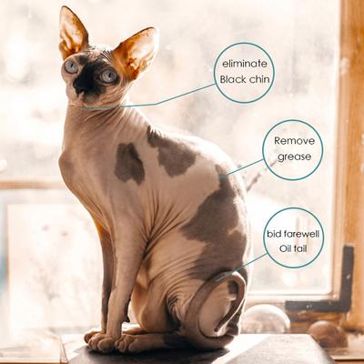Katte – Varer til kattepleje