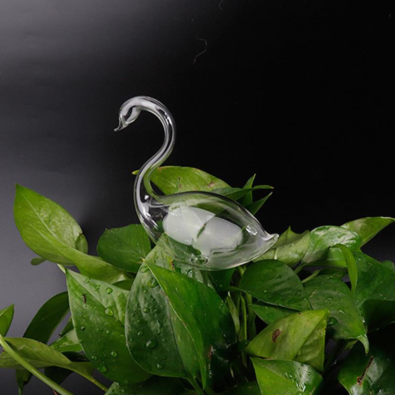 11 Types Glass Plant Flowers Water Feeder Automatic Self Watering Devices