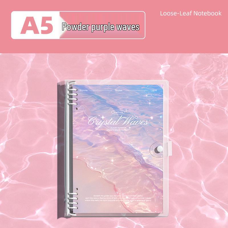 Detachable Transparent Leather Binder with 5 Notebooks for High School Students - 2026 Edition