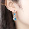 1 Pair Korean Style Hook Earrings Dolphin Design Shiny Rhinestones Drop Earrings Women Mid-length Earrings